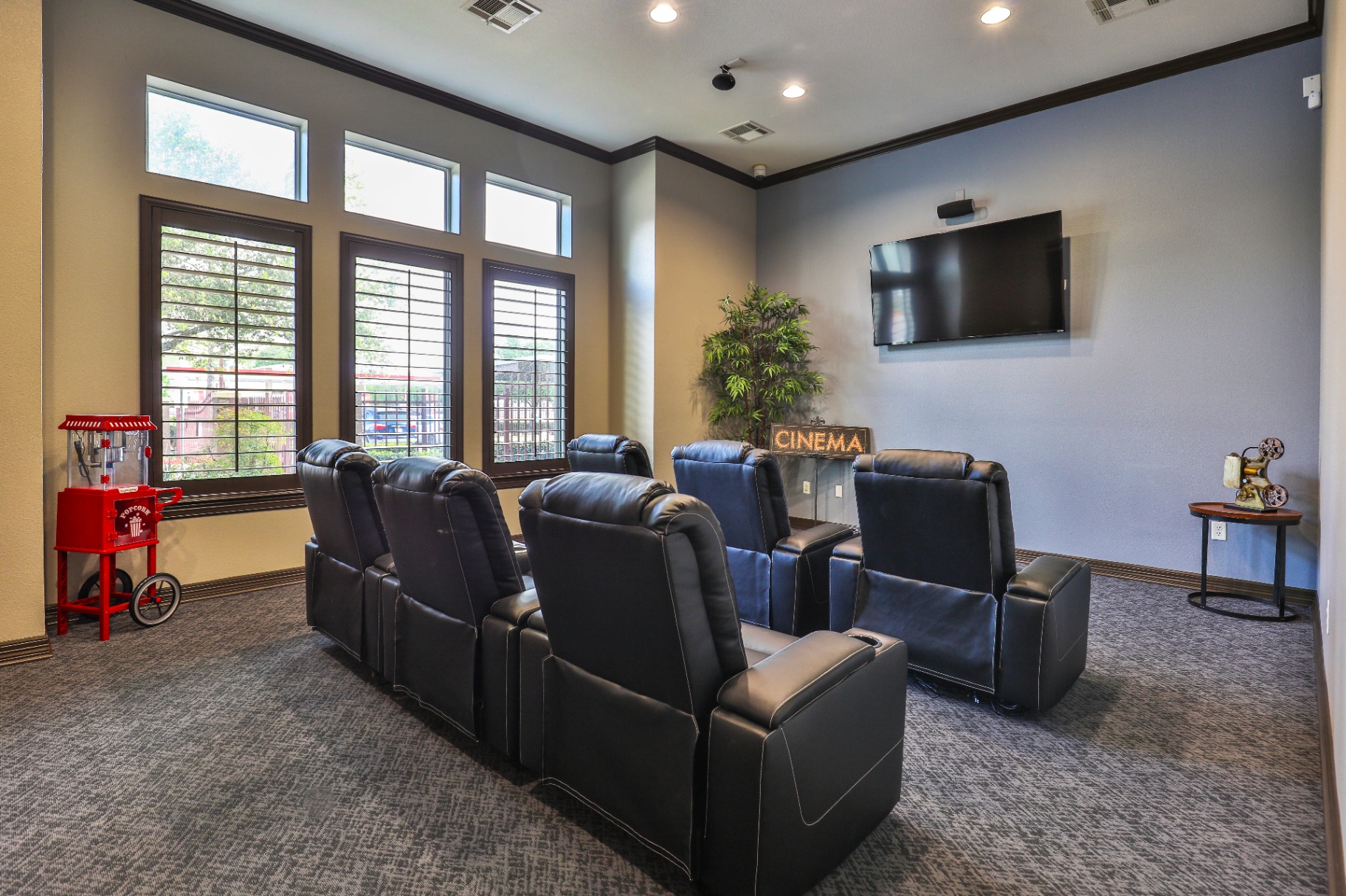 Private Cinema Room